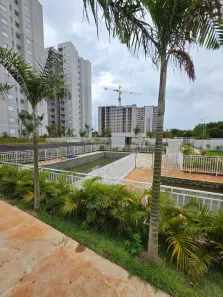 Apartamento com 2 Quartos à venda, 47m² no Vila Yolanda Costa e Silva, Sumaré