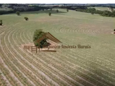 Fazenda/Sítio à venda, 641300m² no Área Rural de Itapetininga, Itapetininga