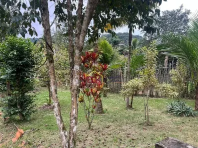 Lote/Terreno à venda, 600m² no Massaguaçu, Caraguatatuba