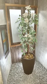 Apartamento com 3 Quartos à venda, 72m² no Méier, Rio de Janeiro