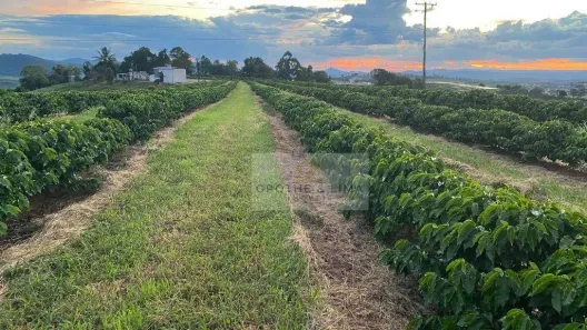 Fazenda/Sítio à venda, 100m² no Mirante do Paraíso, Pouso Alegre