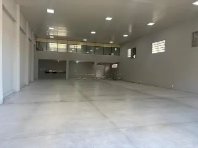 Galpão/Depósito/Armazém para alugar, 500m² no Vila Falavina, São José do Rio Preto