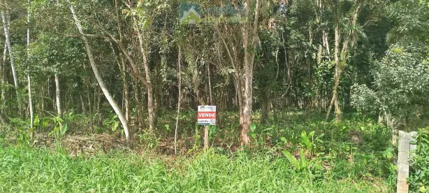 Lote/Terreno à venda, 1311m² no Morretes, Morretes