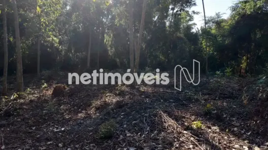 Lote/Terreno à venda, 6000m² no São Sebastião das Águas Claras, Nova Lima