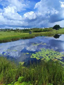 Fazenda/Sítio com 5 Quartos à venda, 800000m² no , Monte Alegre