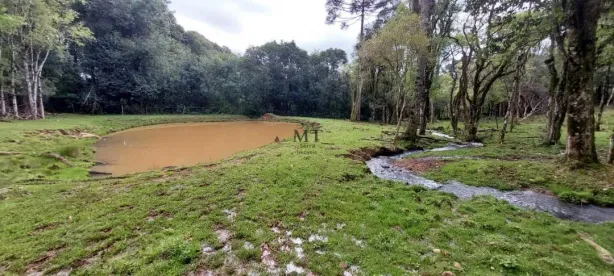 Lote/Terreno à venda, 22000m² no , Nova Petrópolis