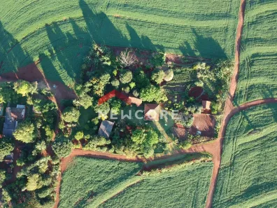 Fazenda/Sítio à venda, 100m² no Gleba Ribeirão Pinguim, Maringá