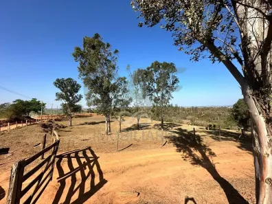 Lote/Terreno à venda, 145200m² no São João dos Pinheiros, Artur Nogueira
