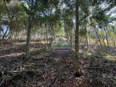 Lote/Terreno à venda, 3600m² no Nogueira, Petrópolis