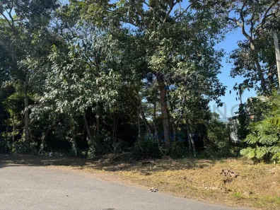 Lote/Terreno à venda, 430m² no Parque Residencial Itapeti, Mogi das Cruzes