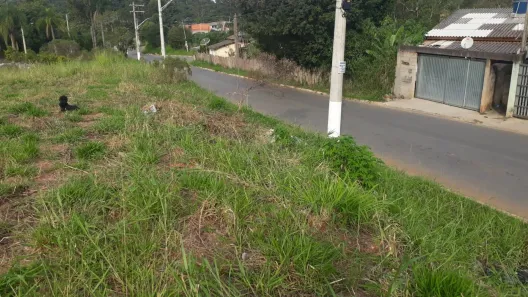Lote/Terreno à venda, 250m² no Jardim San Ressore (Caucaia do Alto), Cotia