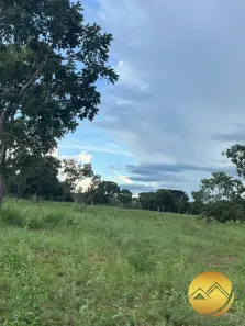 Fazenda/Sítio com 6 Quartos à venda, 250m² no , Uruaçu