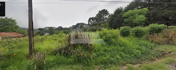 Lote/Terreno à venda, 5000m² no Contorno, Ponta Grossa