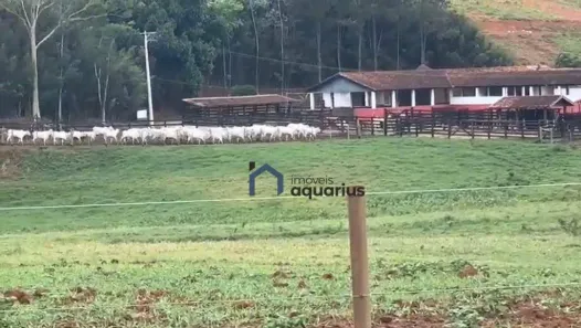 Fazenda/Sítio com 3 Quartos à venda, 7986000m² no Vila Passos, Lorena