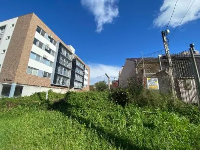 Lote/Terreno à venda, 560m² no Areal, Pelotas