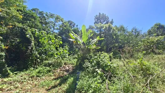 Lote/Terreno à venda, 546m² no Pântano do Sul, Florianópolis