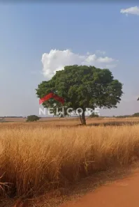 Fazenda/Sítio com 1 Quarto à venda, 1000m² no Cruzeiro dos Peixotos, Uberlândia
