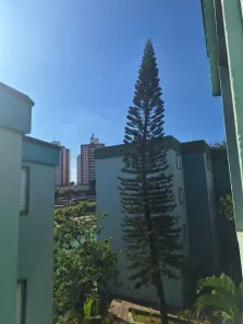 Apartamento com 3 Quartos à venda, 77m² no Vila Manoel Ferreira, Campinas
