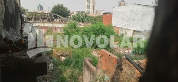 Lote/Terreno à venda, 495m² no Vila Maria Alta, São Paulo