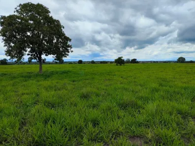 com 3 Quartos à venda, 480m² no , Araguapaz
