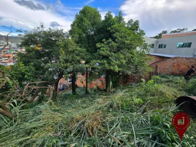 Lote/Terreno à venda, 560m² no Palmeiras, Belo Horizonte