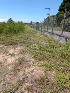 Lote/Terreno à venda, 6001m² no Campeche, Florianópolis