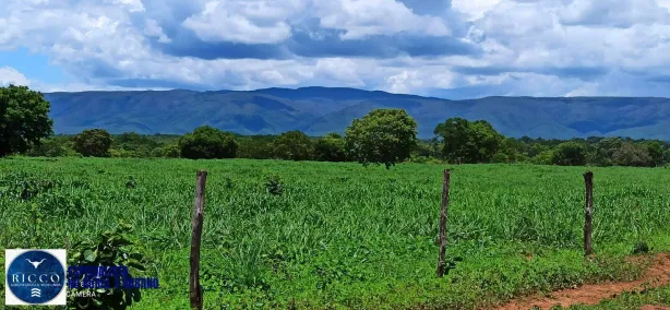 Fazenda/Sítio com 2 Quartos à venda, 120m² no Centro, Alto Paraíso de Goiás