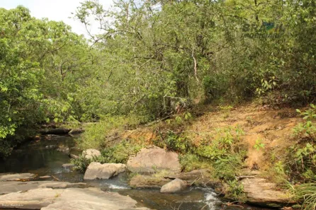 Fazenda/Sítio com 3 Quartos à venda, 104000m² no Engenho das Lages, Brasília