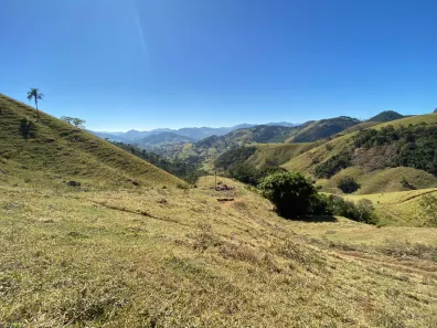 Lote/Terreno à venda, 145200m² no Zona Rural, Gonçalves