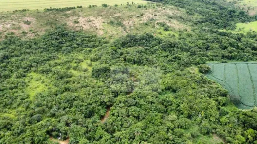 Fazenda/Sítio à venda, 2m² no Mangabeiras, Coromandel