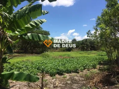 Lote/Terreno à venda, 30000m² no Dourado, Horizonte