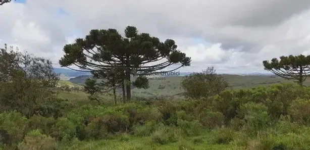 Lote/Terreno à venda no , Urubici