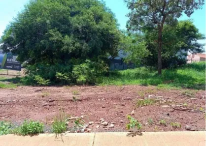 para alugar, 370m² no Alto da Boa Vista, Ribeirão Preto