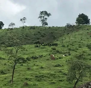Fazenda/Sítio com 4 Quartos à venda, 150000m² no , Bonfim