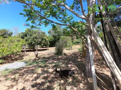 Lote/Terreno à venda, 1376m² no Lagoinha de Fora, Lagoa Santa