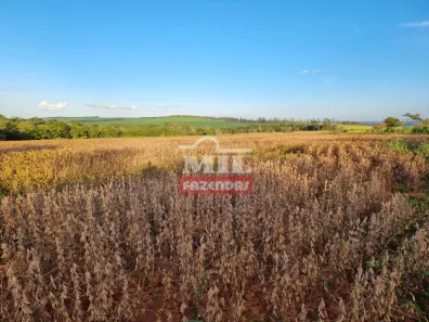 Fazenda/Sítio à venda, 1m² no , Alexânia