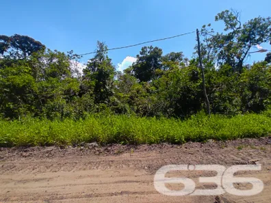 Lote/Terreno à venda, 357m² no Praia do Ervino, São Francisco do Sul