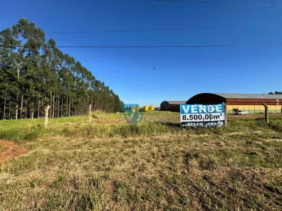 Lote/Terreno à venda, 8500m² no Centro, Porecatu