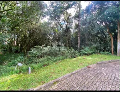 Lote/Terreno à venda, 745m² no Pinheiro Grosso, Canela