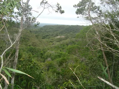 Fazenda/Sítio com 1 Quarto à venda, 1350m² no Centro, Itaobim