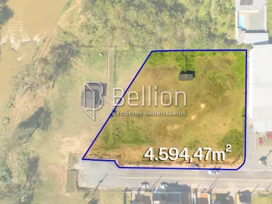 Lote/Terreno à venda, 4594m² no DIVINÉIA, Rio dos Cedros