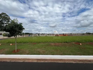 Lote/Terreno à venda, 250m² no Residencial Samambaia, São Carlos