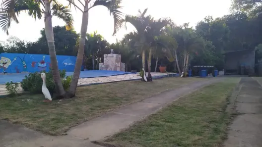Fazenda/Sítio com 3 Quartos à venda, 150m² no Bairro dos Pires, Limeira