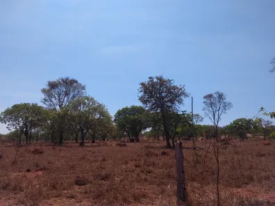 Lote/Terreno à venda, 20000m² no , Jequitibá