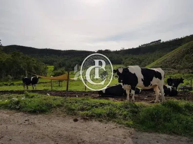 Fazenda/Sítio com 4 Quartos à venda, 90m² no , São Luiz do Paraitinga