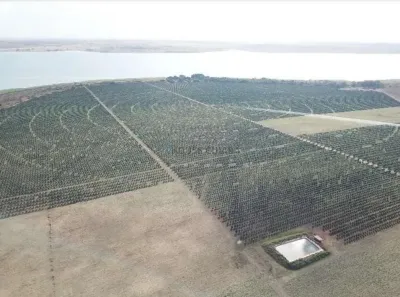 com 3 Quartos à venda, 1800m² no Área Rural de Votuporanga, Votuporanga