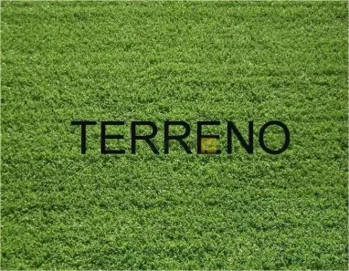 Lote/Terreno à venda, 250m² no Jardim Dona Regina, Santa Bárbara D'Oeste