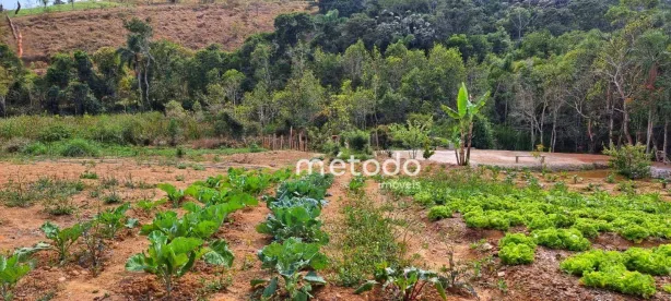 Fazenda/Sítio com 2 Quartos à venda, 22900m² no Luiz Carlos, Guararema