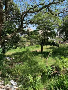 Lote/Terreno à venda, 6500m² no Vila das Belezas, São Paulo