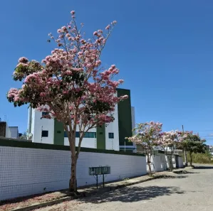 Apartamento com 2 Quartos à venda, 55m² no Santa Cruz, Campina Grande